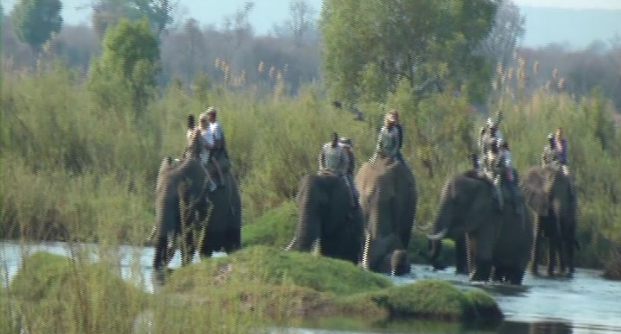 2011 Zambia Elephant Ride